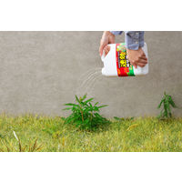 【園芸用品】アイリスオーヤマ 速効除草剤 2L WSJー2L 1本