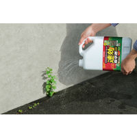 【園芸用品】アイリスオーヤマ 速効除草剤 4L WSJー4L 1本
