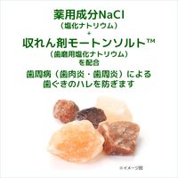 ガム デンタルペースト ソルティミント 150g サンスター GUM 歯磨き粉 歯周病予防 歯茎ひきしめ