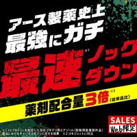 ゴキブリ 駆除 スプレー ＧｉＤＯＲＡＸ ギドラクス ゴキブリ用スプレー 殺虫剤  1セット（1本×2） アース製薬