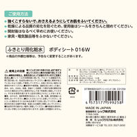 レック SRT 男性用 流せるボディシート ミントの香り C01259 1個（12枚入）