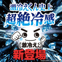 レック 激冷えくん ボディクールシート 鬼クールMAX C01294 1個（20枚入×2パック）