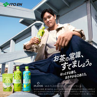 伊藤園 お～いお茶 PURE GREEN ティーバッグ 1セット（1袋（10バッグ入）×3）