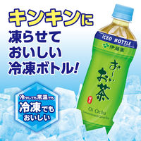 伊藤園 お～いお茶 緑茶（冷凍兼用ボトル）485ml ペットボトル1セット（48本）