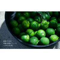 お酢屋がつくった　すだちぽん酢　300ml 1本 マルカン酢 ポン酢　ポンズ　鍋　焼魚