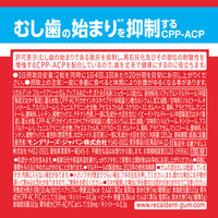 ガム ボトルガム リカルデント フルーツアソートガム アップル＆ピーチボトル 3個 モンデリーズ・ジャパン
