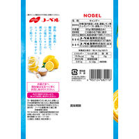 のど飴 キャンディー 個包装 無添加 つぶ塩レモン のど飴 90g 12袋 ノーベル