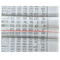 エスコ x1.8/ 25x200mm スティックルーペ EA756CB-71 1個（直送品）