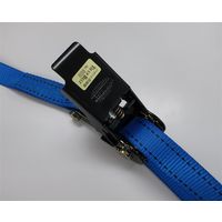 エスコ 25mmx 4.0m/ 254kg ベルト荷締機(両端フック型) EA982RG-4 1本（直送品）