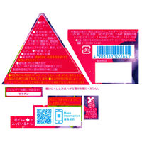 グミ 小袋 小分け 食べきりサイズ ピュレグミ プチ 三角 グレープ 13g 24袋 カンロ