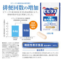 森永 ビヒダス 生きて届くビフィズス菌BB536（15日分） 1袋（15粒入） 機能性表示食品 森永乳業