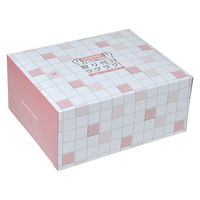 水切りネット ストッキングタイプ 浅型 排水口用 ヌメリ・臭いにくい 抗菌 1セット（1箱（100枚入）×5）ストリックスデザイン