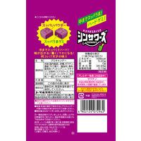 グミ 食べきりサイズ シンサワーズグミ グレープ味 50g 6袋 ノーベル