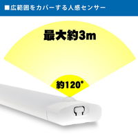 LEDバーライト 日本トラストテクノロジー USB LEDBARライト ワイド 48cm LEDBARSBTーWD48 1個