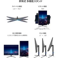JAPANNEXT 31.5インチ ワイド液晶モニター 画面回転機能、上下昇降機能 JNーIPS315QーHSPC6 1台