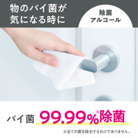 ウェットティッシュ 除菌シート 日本製紙クレシア スコッティ ウェットティシュー 除菌 アルコール 120枚入×14個