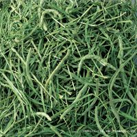 香りきわだつ おいしいチモシー うさぎ ドライ 650g 1袋 ジェックス