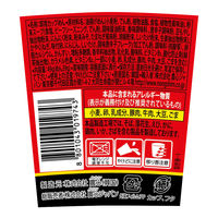 辛ラーメンミニカップ 1セット（1個×12） 農心