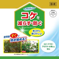 ベストリキッドW コケを減らす・防ぐ 計量キャップ付 国産 150ml 1個 ジェックス 観賞魚用
