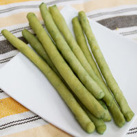 ドギーマン ホワイデント 激かみ！歯みがきガム グリーン スティック S 小型犬向き 24本 3袋 犬用 おやつ 歯磨き