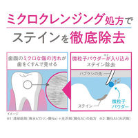 ライオン Lighteeハミガキ ホワイトローズミント 53g 210217 1個(53G)×3（直送品）