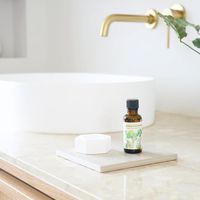 生活の木 ブレンドエッセンシャルオイル ライミ―バカンス 30mL 1セット（1本×2）