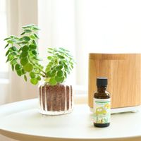 生活の木 ブレンドエッセンシャルオイル スムーズドライブ 30mL 1セット（1本×2）