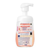 ビオレ ザ ボディ ととのい肌 フルーティ 本体 480ml 花王 (泡タイプ)