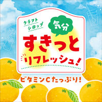 アサヒ飲料 クラフトシロップ すきっとみかん＜希釈用＞プラスチックボトル 470ml 1箱（12本入）