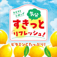 アサヒ飲料 クラフトシロップ すきっとレモン＜希釈用＞プラスチックボトル 470ml 1箱（12本入）