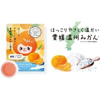 GR 旅するJUSO BATH POWDER みかん 分包 30g 1セット（1包×3） 入浴剤