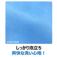 キクロン キクロンファイン　シャスターかため　ブルー 　1枚