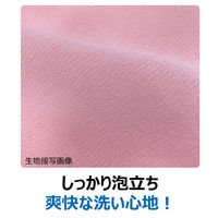 キクロン キクロンファイン　シャスターふつう　ピンク 　1枚