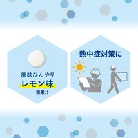 暑さ対策 塩分チャージ 業務用　塩タブレット＜レモン＞　48g 1個