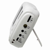 廣華物産 4.3インチ液晶AM/FM搭載(手回し充電対応)ポータブルワンセグテレビ TVR-L38R 1台