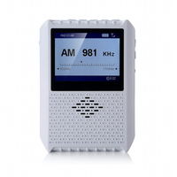 廣華物産 2.8インチ液晶付きポータブルワンセグテレビ(AM/FM搭載) TVR-L37 1台