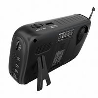 廣華物産 4.3インチ液晶AM/FM搭載(手回し充電対応)ポータブルワンセグテレビ TVR-L38RC 1台