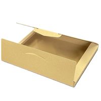 ネコポス対応テープレスダンボール 外寸：223×307×23mm 1セット（1パック（10枚入）×5） フジケース