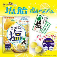 暑さ対策 塩分補給 塩分対策  さっぱり塩飴 塩レモン味 64g 1セット（1個×6）