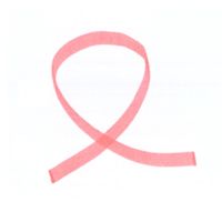 パイロット 蛍光ペン スポットライター レッド SGR-8SL-R 1セット（1本×10）