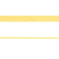 パイロット ツイン蛍光ペン スポットライター2 オレンジ SGFR-10SL-O 1セット（1本×10）