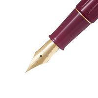 パイロット 万年筆 デスクペン 金色仕様 レッド軸 極細字（EF） P-DPP-1S-REF 1セット（1本×10）