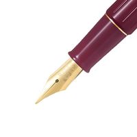 パイロット 万年筆 デスクペン 金色仕様 レッド軸 中字（M） P-DPP-1S-RM 1セット（1本×10）