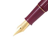 パイロット 万年筆 デスクペン 金色仕様 レッド軸 細字（F） P-DPP-1S-RF 1セット（1本×10）