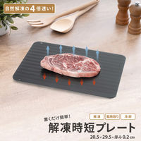 武田コーポレーション 解凍プレートL KPL-BK 1箱(36個入)（直送品）