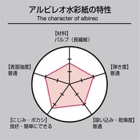 ホルベイン アルビレオ水彩紙 1/4色紙 5枚入 ASK-02 (270137) 270137 1個（直送品）