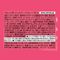 クロレッツXP　ピンクグレープフルーツボトル 2個 モンデリーズ・ジャパン ガム 大容量 ストック ボトルガム