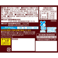 チョコレート菓子 ザクザクチョコボール　ピーナッツ　48g 1セット（1個×10）
