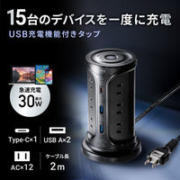 延長コード 電源タップ タワー型 2P式 USB 12個口 2m 一括スイッチ サンワサプライ TAP-B112C1A2BK 1個