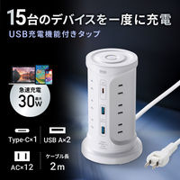 延長コード 電源タップ タワー型 2P式 USB 12個口 2m 一括スイッチ サンワサプライ TAP-B112C1A2W 1個